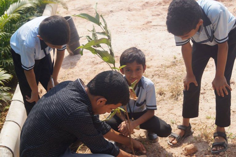 Planting Trees