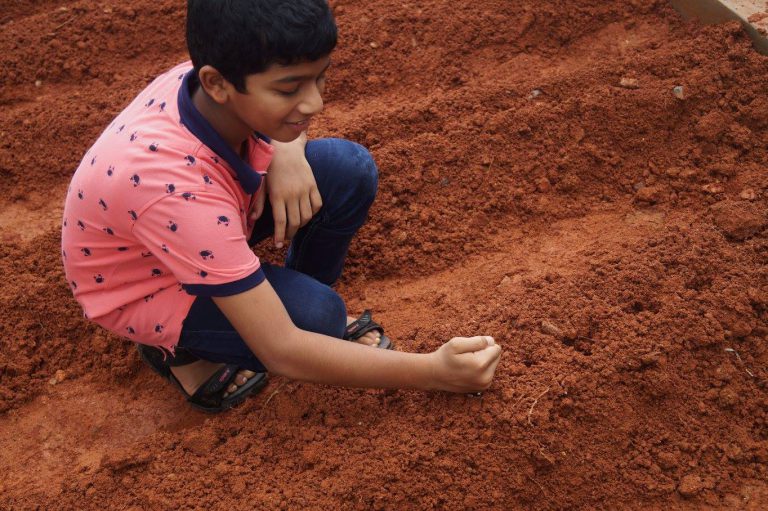 Plantation drive
