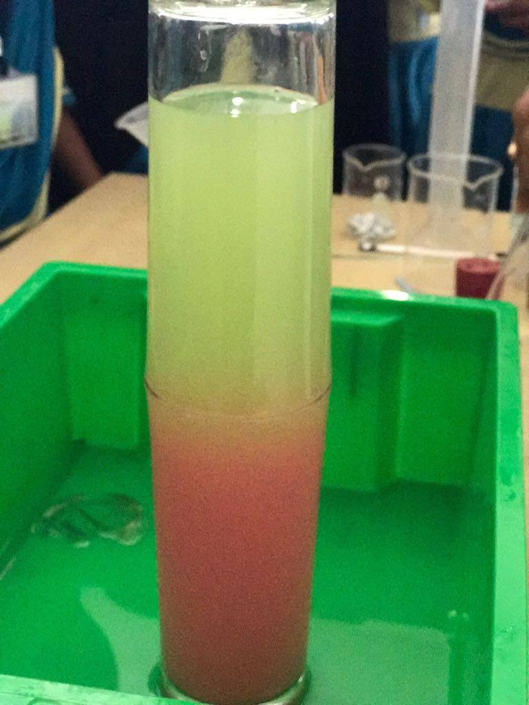 Science Club Activity 2018-19