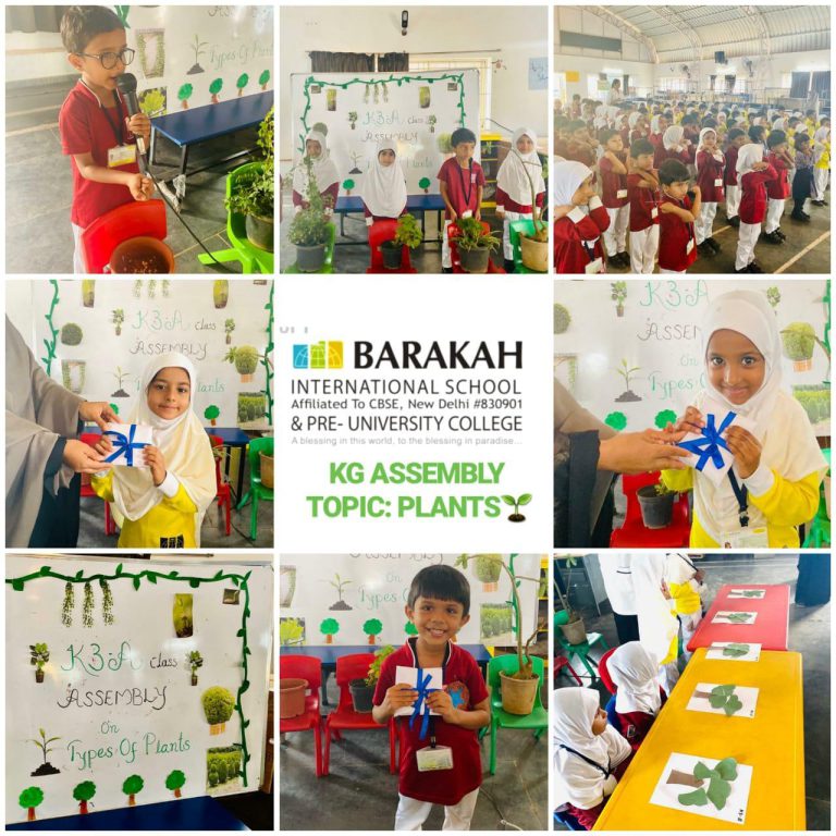 KG Assembly: Different types of plants