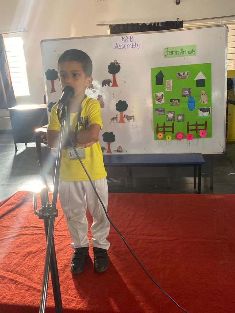 KG Assembly: Wild animals and Domestic Animals