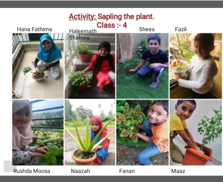 Online Class science Activity