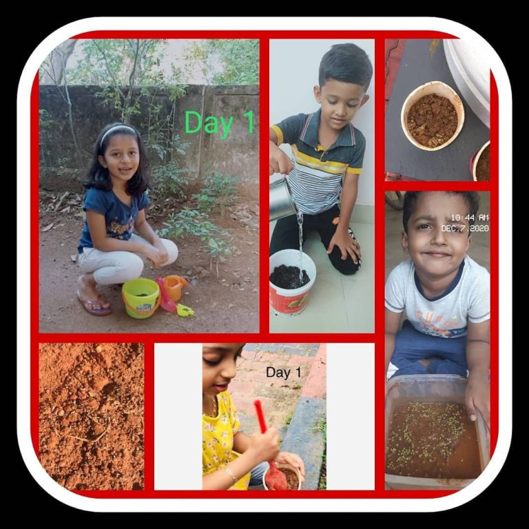 KG Sowing the Seeds Activity 2020